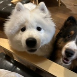 昵称