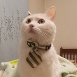 金角大王