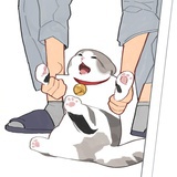 芝士脆脆鲨