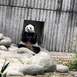 再来一瓶