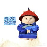 浙百巨明爽姐😎