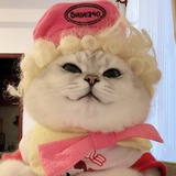 四眼儿大橙子