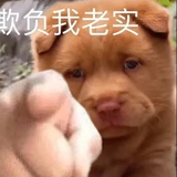 不会骂人才怪