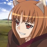贤狼赫萝