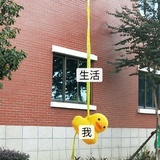 诶呀我是满伍