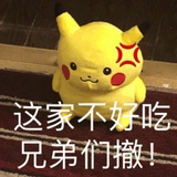 冬青书
