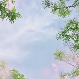 山河