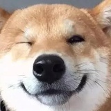 大卫和保罗