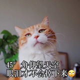 十月