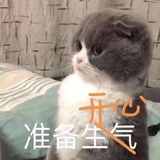 橙橙橙橙子