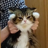 なにもの