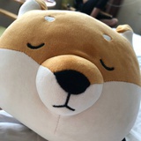 小崽子