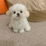 开机