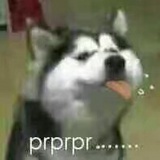 dyf