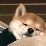 小废柴的逆袭