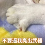 有些人脑子有坑