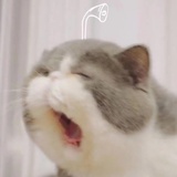 安静