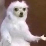 不要昵称