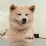 M K