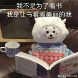 阿萌虎兄