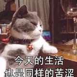 这么烦