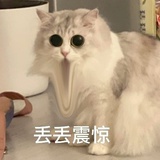 吃不吃榴莲