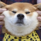 雪糕
