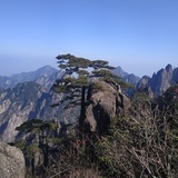 小北