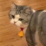 AKA唐僧