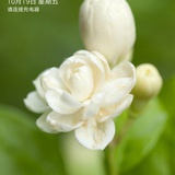 ai小铃铛