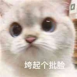 阿窝鹅衣乌鱼