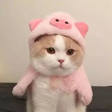 璐璐璐呀
