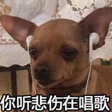 红色痴迷人