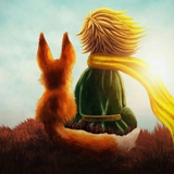 风&雨✨🦊