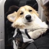 荏苒