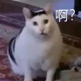 己注销