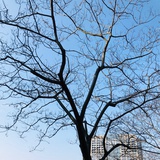 奋斗