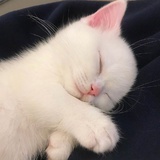 长夜看海