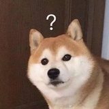 花とアリス