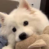 等风来