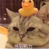 凡心人