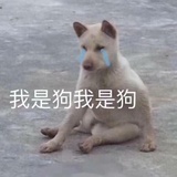 🍉🍉不睡觉