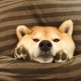 excdg0