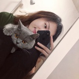 板栗