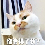 鸟语天晴
