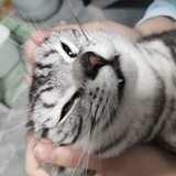无法直视的jp