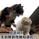 雨女无瓜