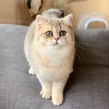 小土豆儿