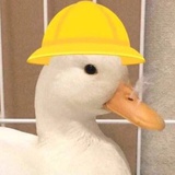 随便了