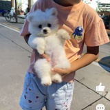 不与$B论长短